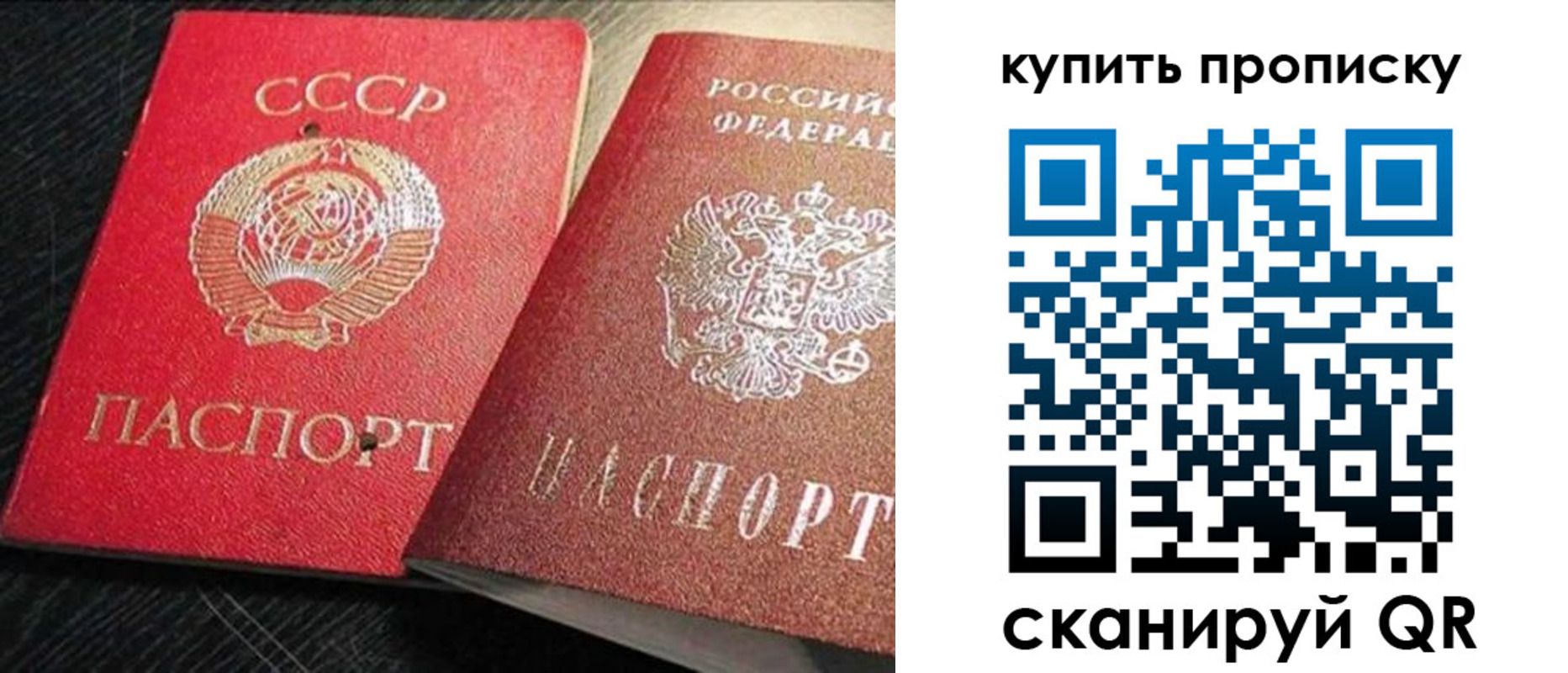 временная регистрация гарантия в Павловске