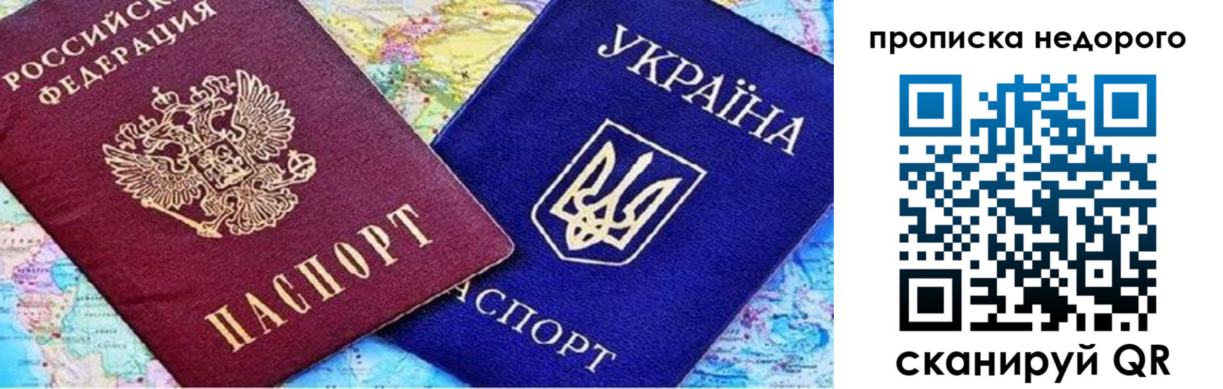 где прописаться в Павловске
